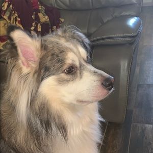 Meet your Posher, Ken